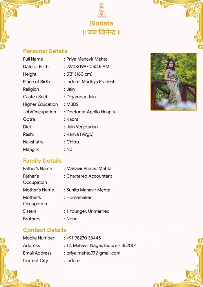 Classic 7 biodata template